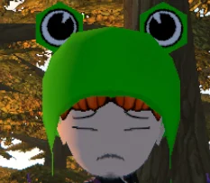 Froggy Hat With Hair